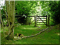 Green Lane towards Tal-sarn in Ceredigion