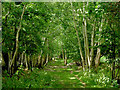 Byway to Brynog in Ceredigion