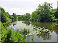 River Medway