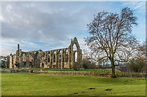 SE0754 : Bolton Abbey by Ian Capper