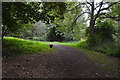 TQ2667 : Wandle Trail, Ravensbury Park by N Chadwick
