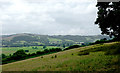 SN5357 : Across the Aeron Valley in Ceredigion by Roger  Kidd