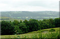 Forest and valley north of Trefilan in Ceredigion