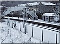 Hillfoot railway station in the snow