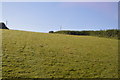 Cornish sloping pasture