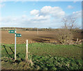 Fields at Warren Farm