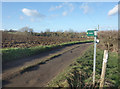 Muddy Path at Warren Farm