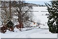 NT2439 : Snow at Morning Hill, Peebles by Jim Barton