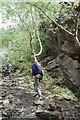 Newtyle Quarry