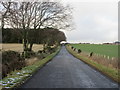 Road to Kingsmuir near Lownie Moor