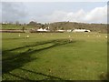 Sheep grazing at Rhodyate Farm