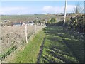 Puddletown, footpath