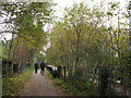 Bridge over Middlewood station