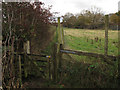 Path to the east of the Middlewood Way