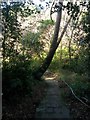 Branksome: the path heads into the chine from Sandbourne Road