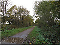 Horse riders on the Middlewood Way (2)