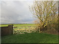 Painted gates in Waxholme