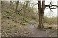 Path to Auchans Castle