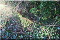 Culvert and ditch beside minor road to Hampton Poyle