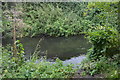 River Wandle