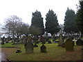 Saint John the Evangelist, Shirley: churchyard (d)