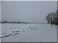 Ice on Strathclyde Loch