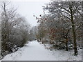 Snow on Avon Walkway near Motherwell