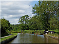 Canal and pasture near Barlaston in Staffordshire