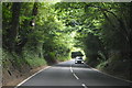 Haslemere Rd, A286