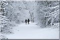 Snowy day at the Craigdhu Wedge