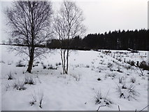 H5274 : Snow, Drumnakilly by Kenneth  Allen