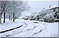 Heather Avenue in the snow