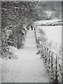 Footpath in the snow