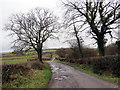 Llwybr Llwynpartridge / Llwynpartridge Path