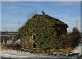 Dilapidated Wooden Garage opposite Woodhill Grange