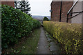 Path leading to Helmton Road, Sheffield