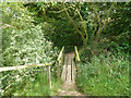 Footbridge on path towards Great Baddow