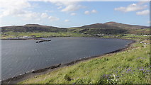 NG3964 : Uig Bay from a roadside viewpoint by Alan Walker
