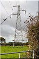 Pylon in field