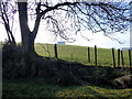 Creevenagh Townland