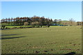 Farmland at Philip Hill