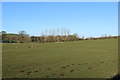 Farmland near Wigtown