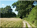 Footpath from Bakers Lane to Galleywood