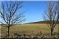 Farmland at Low Cotland