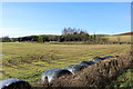 Farmland at Potato Mill Road