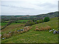 Hill pasture by Cwm Berwyn in Ceredigion