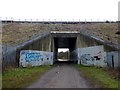 Graffiti-covered pedestrian underpass