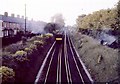 Embankment fires between Ilford Road and Albury Road, Newcastle