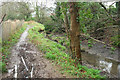 Path by tidal stream, Torpoint