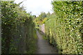 Footpath, Barden Park